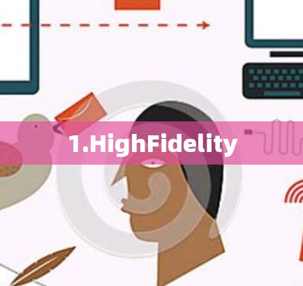 1.HighFidelity