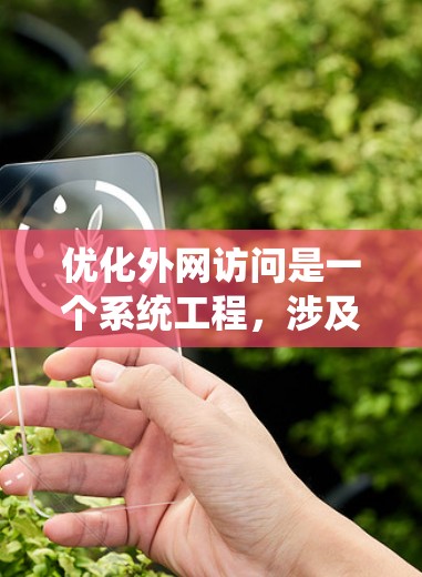 优化外网访问是一个系统工程，涉及多个关键步骤，以下是一个有条理的优化教程指南
