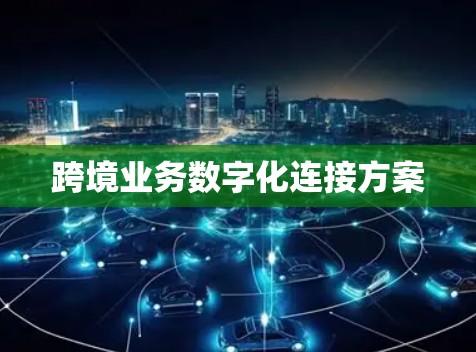 跨境业务数字化连接方案