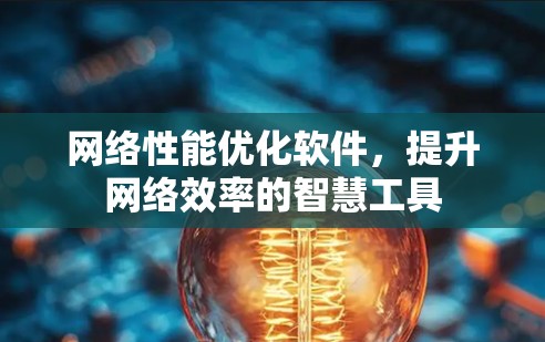 网络性能优化软件，提升网络效率的智慧工具