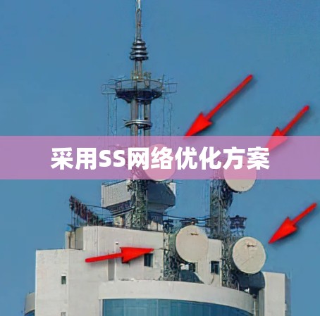 采用SS网络优化方案