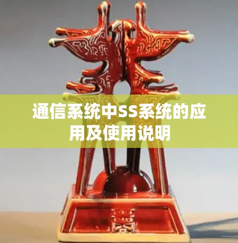 通信系统中SS系统的应用及使用说明