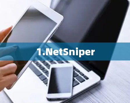 1.NetSniper