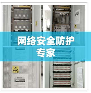 网络安全防护专家
