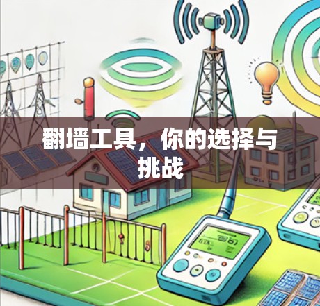 翻墙工具，你的选择与挑战