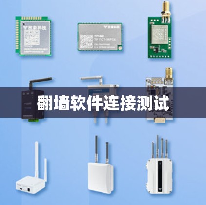 翻墙软件连接测试