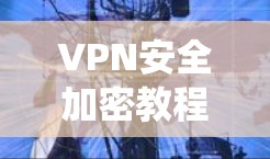 VPN安全加密教程是一个系统性的学习过程，涉及多个关键领域。以下是一个结构化的学习路径，帮助您系统地掌握VPN安全加密的知识和技能