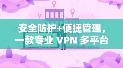 安全防护+便捷管理，一款专业 VPN 多平台支持软件