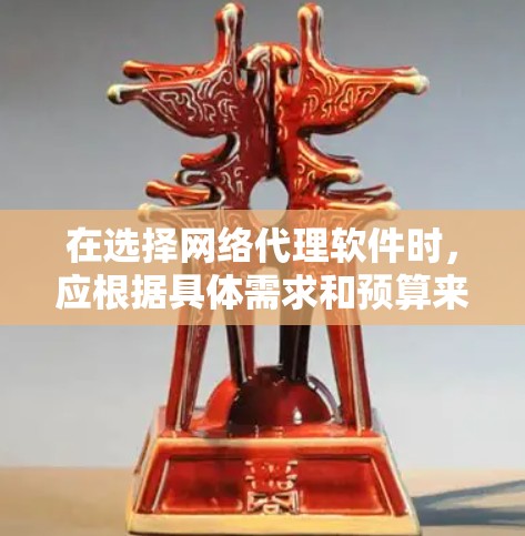 在选择网络代理软件时，应根据具体需求和预算来决定。以下是对常见网络代理软件的详细分析