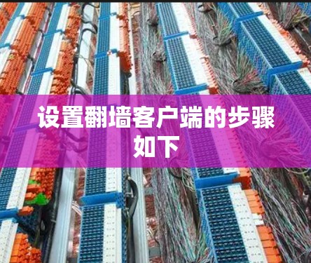 设置翻墙客户端的步骤如下