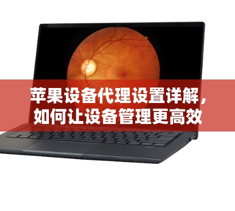 苹果设备代理设置详解，如何让设备管理更高效