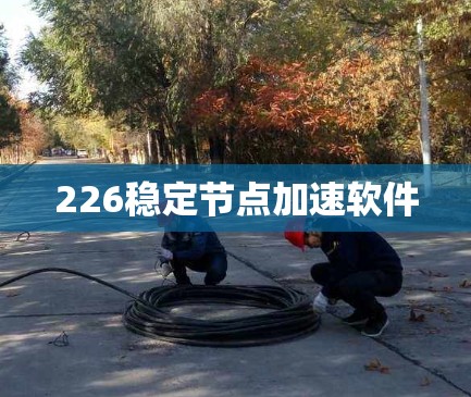 226稳定节点加速软件