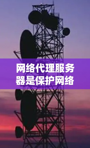 网络代理服务器是保护网络环境的重要工具，适用于监控和管理网络访问。以下是一个系统性的总结，涵盖其基本概念、功能、配置与维护等内容