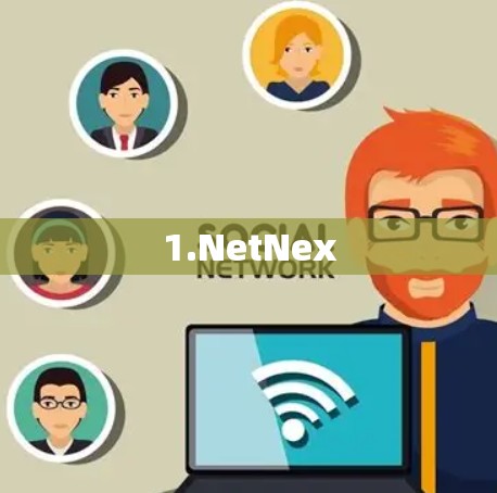 1.NetNex