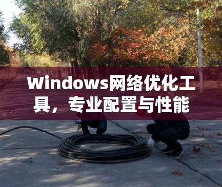 Windows网络优化工具，专业配置与性能提升