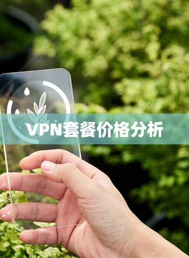 VPN套餐价格分析 VPN套餐价格分析
