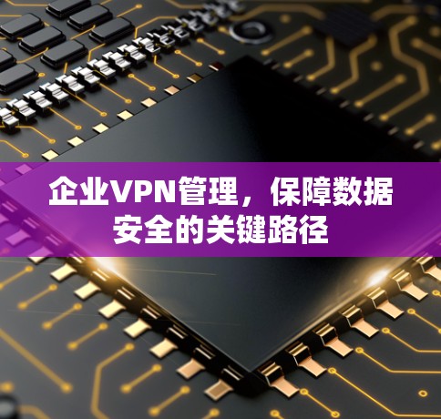 企业VPN管理，保障数据安全的关键路径