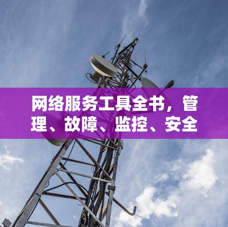 网络服务工具全书，管理、故障、监控、安全、网络管理、设备管理、网络设备管理、网络优化工具