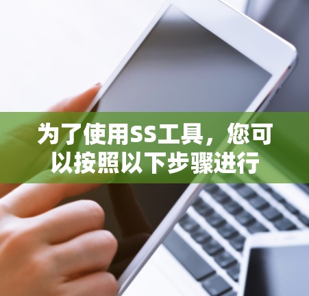 为了使用SS工具，您可以按照以下步骤进行