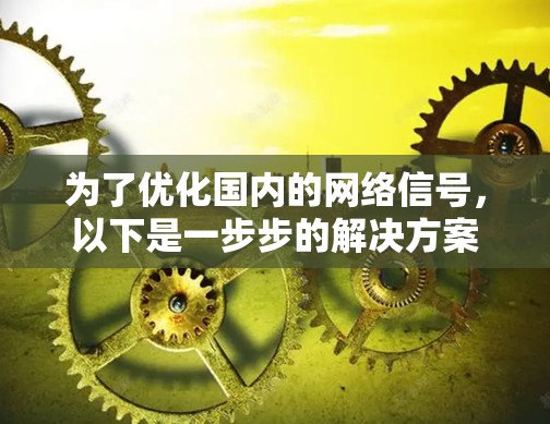 为了优化国内的网络信号，以下是一步步的解决方案