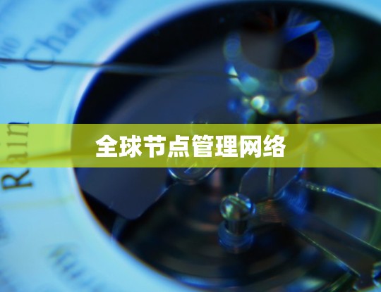 全球节点管理网络