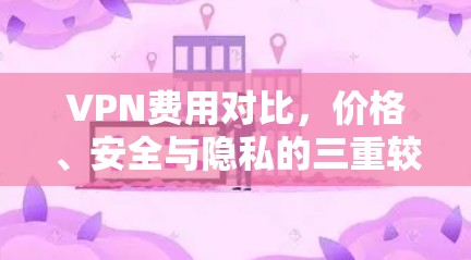 VPN费用对比，价格、安全与隐私的三重较量