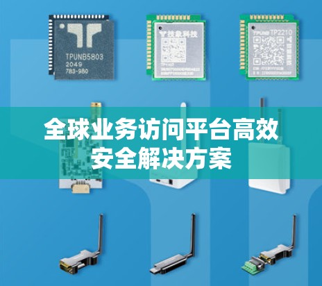 全球业务访问平台高效安全解决方案