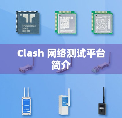 Clash 网络测试平台简介