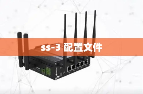 ss-3 配置文件