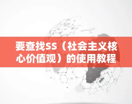 要查找SS（社会主义核心价值观）的使用教程，可以从以下几个方面入手