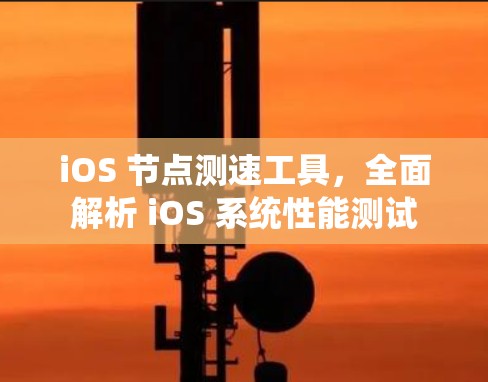 iOS 节点测速工具，全面解析 iOS 系统性能测试