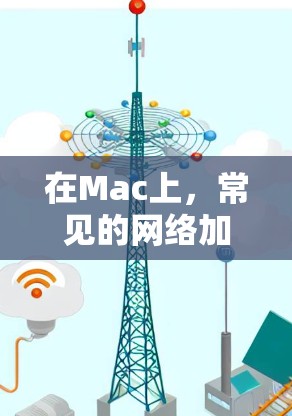 在Mac上，常见的网络加速软件主要有以下几种