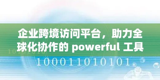 企业跨境访问平台，助力全球化协作的 powerful 工具