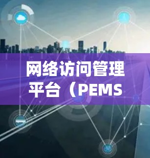 网络访问管理平台（PEMS）是一个用于管理网络访问权限和设备安全的软件系统，旨在确保网络设备安全运行。以下是关于PEMS的详细总结