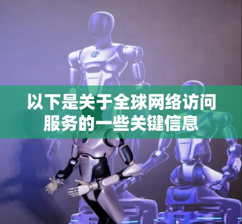 以下是关于全球网络访问服务的一些关键信息