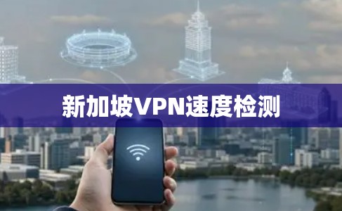 新加坡VPN速度检测