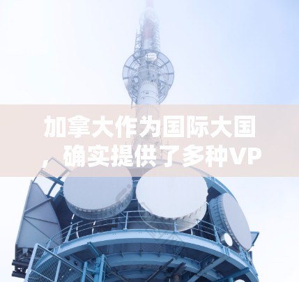 加拿大作为国际大国，确实提供了多种VPN连接工具，这些工具可以帮助用户方便地访问互联网。以下是基于加拿大主要VPN服务提供商的详细信息