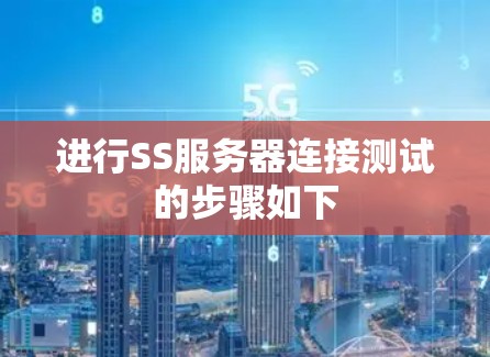 进行SS服务器连接测试的步骤如下
