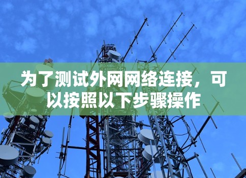 为了测试外网网络连接，可以按照以下步骤操作