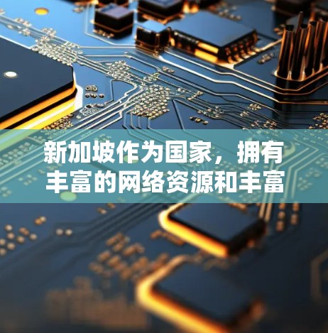 新加坡作为国家，拥有丰富的网络资源和丰富的VPN服务，提供了多种选择，满足不同用户的需求。以下是新加坡VPN连接工具的详细介绍